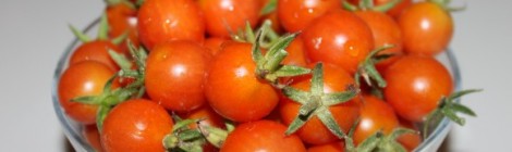 Tomato: Fruit or Veggie?