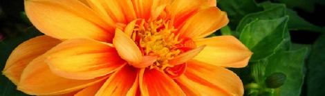 Using "Anymore" and "No more" - part 2