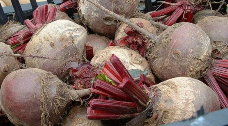 Eat! Beet is good for you.